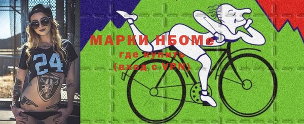 ПСИЛОЦИБИНОВЫЕ ГРИБЫ Гусь-Хрустальный