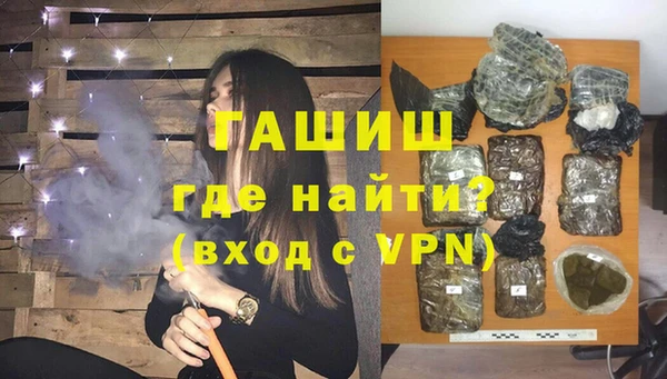 гидра Гусиноозёрск