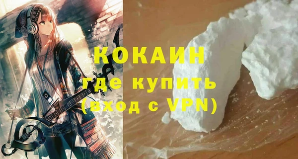 кокс Гусев