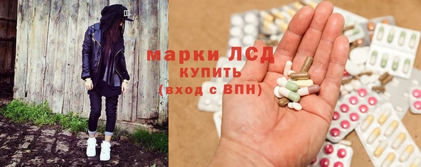 гидра Гусиноозёрск