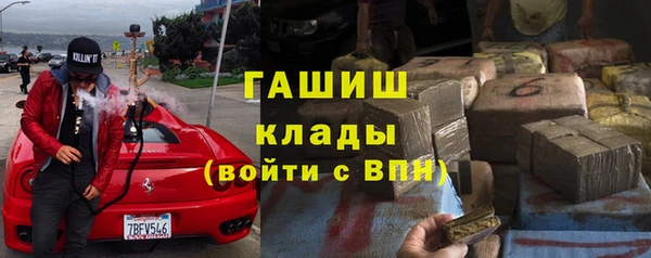 гидра Гусиноозёрск