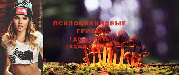 ПСИЛОЦИБИНОВЫЕ ГРИБЫ Гусь-Хрустальный