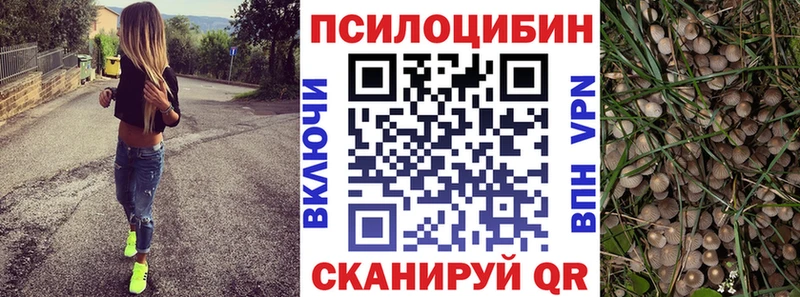 Псилоцибиновые грибы Psilocybe  Новоржев 